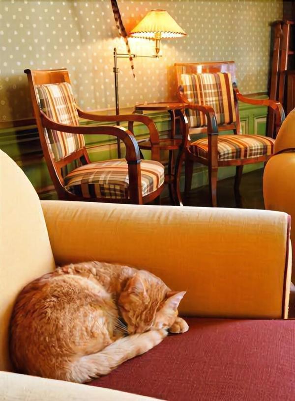 L'yeuse - Teritoria Hotel